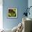 Rainbow Frog-null-Framed Art Print displayed on a wall