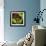 Rainbow Frog-null-Framed Art Print displayed on a wall