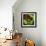 Rainbow Frog-null-Framed Art Print displayed on a wall