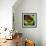 Rainbow Frog-null-Framed Art Print displayed on a wall