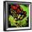 Rainbow Frog-null-Framed Art Print