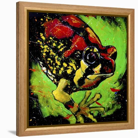 Rainbow Frog-null-Framed Stretched Canvas