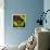 Rainbow Frog-null-Framed Stretched Canvas displayed on a wall