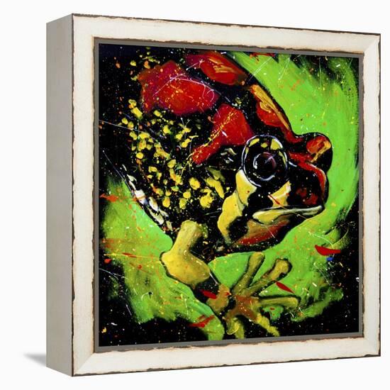 Rainbow Frog-null-Framed Stretched Canvas