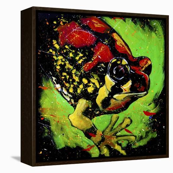 Rainbow Frog-null-Framed Stretched Canvas