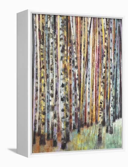 Rainbow Grove 1-Norman Wyatt Jr.-Framed Stretched Canvas