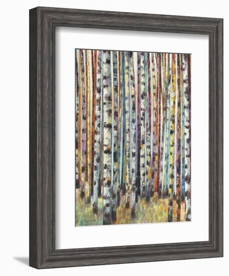 Rainbow Grove 2-Norman Wyatt Jr.-Framed Art Print