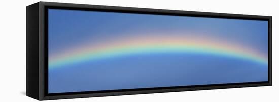 Rainbow in the Sky-null-Framed Premier Image Canvas