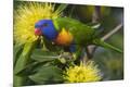 Photographic Print