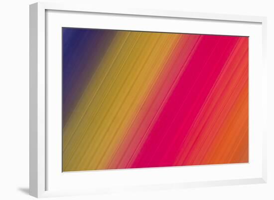 Rainbow Mix-Adrian Campfield-Framed Photographic Print
