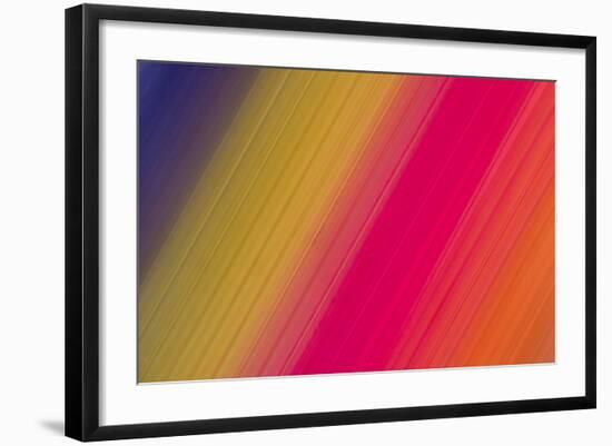 Rainbow Mix-Adrian Campfield-Framed Photographic Print