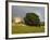 Rainbow Near Kilcash Castle, County Tipperary, Munster, Republic of Ireland, Europe-Richard Cummins-Framed Photographic Print