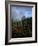 Rainbow near Petit Piton-Bob Krist-Framed Photographic Print