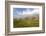 Rainbow on bare trees, Cosio Valtellino, Sondrio province, Valtellina, Lombardy, Italy, Europe-Roberto Moiola-Framed Photographic Print