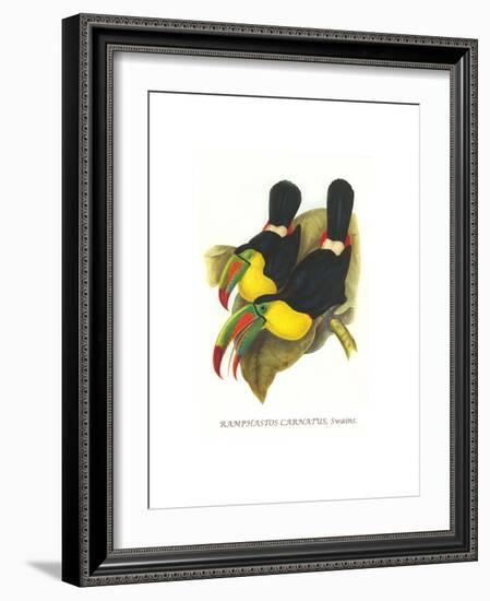 Rainbow or Keel Billed Toucan-John Gould-Framed Premium Giclee Print