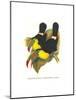 Rainbow or Keel Billed Toucan-John Gould-Mounted Art Print