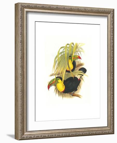 Rainbow or Keel Billed Toucan-John Gould-Framed Art Print