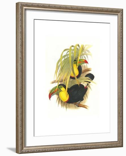 Rainbow or Keel Billed Toucan-John Gould-Framed Art Print