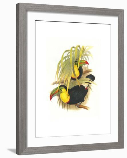 Rainbow or Keel Billed Toucan-John Gould-Framed Art Print