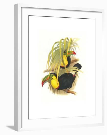 Rainbow or Keel Billed Toucan-John Gould-Framed Art Print