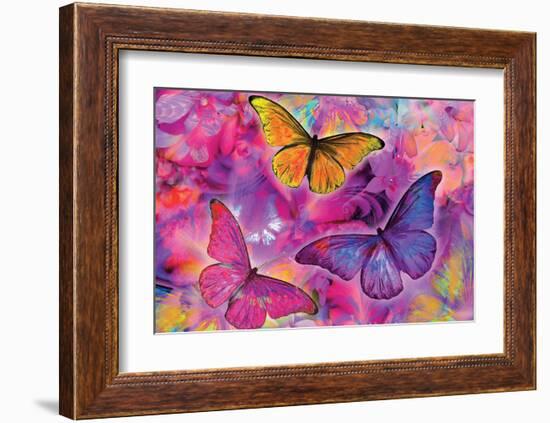 Rainbow Orchid Morpheus-Alixandra Mullins-Framed Art Print