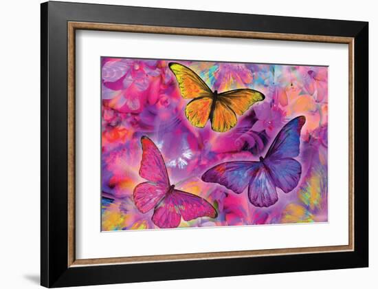 Rainbow Orchid Morpheus-Alixandra Mullins-Framed Art Print