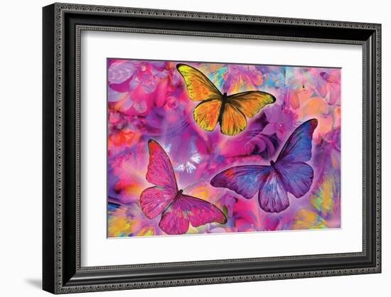 Rainbow Orchid Morpheus-Alixandra Mullins-Framed Art Print