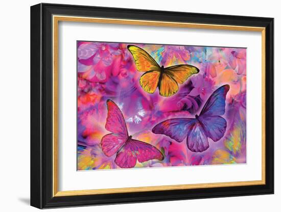 Rainbow Orchid Morpheus-Alixandra Mullins-Framed Art Print