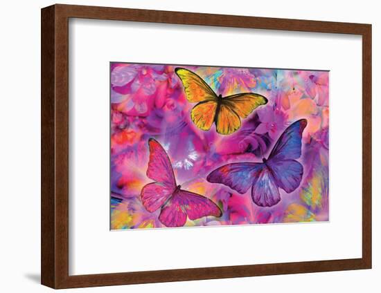 Rainbow Orchid Morpheus-Alixandra Mullins-Framed Art Print