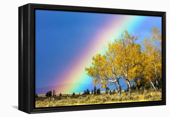 Rainbow over Aspens, Grand Teton National Park, Wyoming-Art Wolfe-Framed Premier Image Canvas