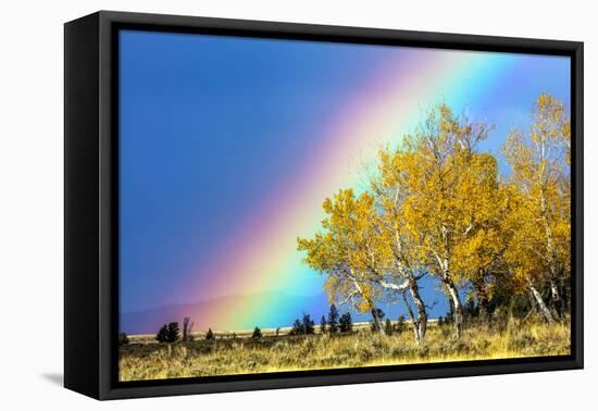 Rainbow over Aspens, Grand Teton National Park, Wyoming-Art Wolfe-Framed Premier Image Canvas