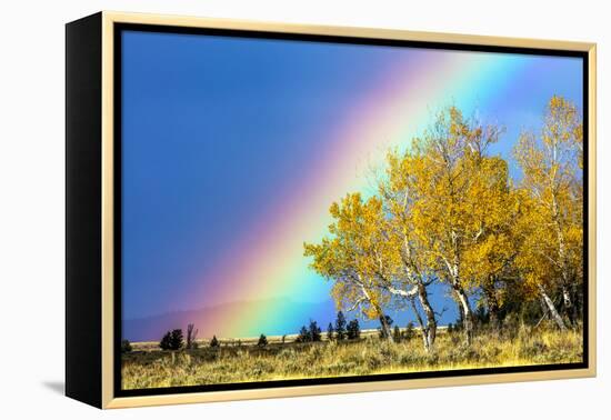 Rainbow over Aspens, Grand Teton National Park, Wyoming-Art Wolfe-Framed Premier Image Canvas