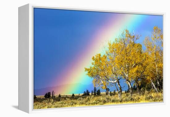 Rainbow over Aspens, Grand Teton National Park, Wyoming-Art Wolfe-Framed Premier Image Canvas