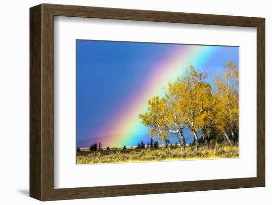 Rainbow over Aspens, Grand Teton National Park, Wyoming-Art Wolfe-Framed Photographic Print