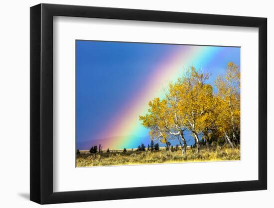 Rainbow over Aspens, Grand Teton National Park, Wyoming-Art Wolfe-Framed Photographic Print