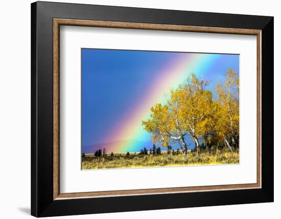 Rainbow over Aspens, Grand Teton National Park, Wyoming-Art Wolfe-Framed Photographic Print