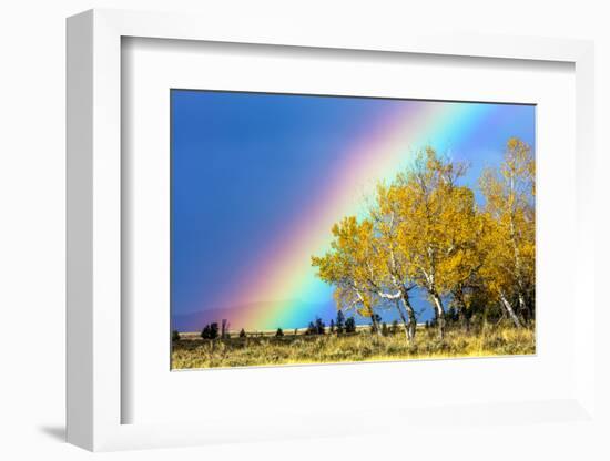 Rainbow over Aspens, Grand Teton National Park, Wyoming-Art Wolfe-Framed Photographic Print