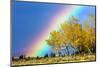 Rainbow over Aspens, Grand Teton National Park, Wyoming-Art Wolfe-Mounted Photographic Print