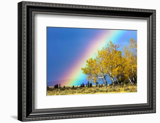 Rainbow over Aspens, Grand Teton National Park, Wyoming-Art Wolfe-Framed Photographic Print