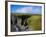 Rainbow over Ballydowane, the Copper Coast, County Waterford, Ireland-null-Framed Photographic Print