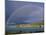 Rainbow over Lake Tekapo, Canterbury, South Island, New Zealand, Pacific-Jeremy Bright-Mounted Photographic Print