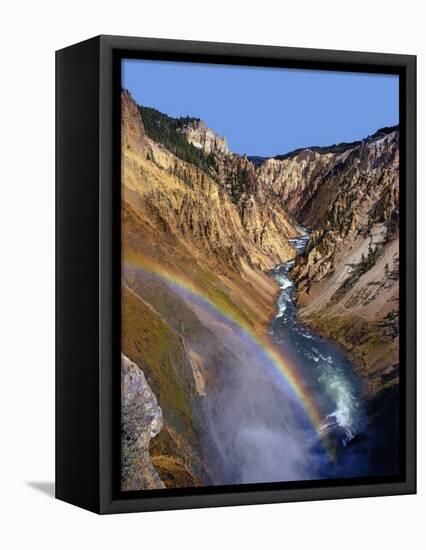 Rainbow over Lower Yellowstone Falls-James Randklev-Framed Premier Image Canvas