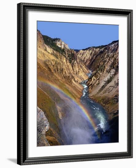 Rainbow over Lower Yellowstone Falls-James Randklev-Framed Photographic Print