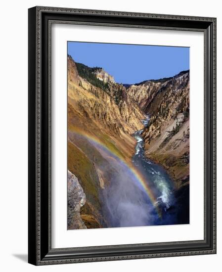 Rainbow over Lower Yellowstone Falls-James Randklev-Framed Photographic Print