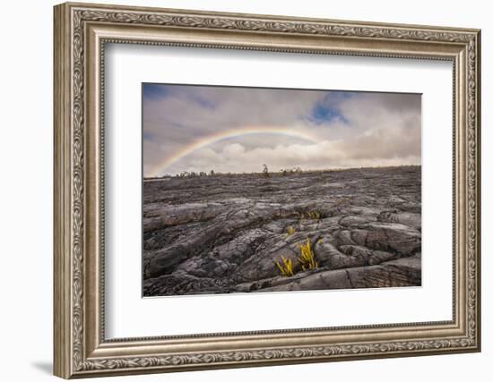 Rainbow over Old Lava Field, Hawaii Volcanoes NP, Hawaii, USA-Jaynes Gallery-Framed Photographic Print