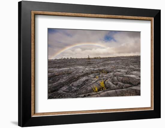 Rainbow over Old Lava Field, Hawaii Volcanoes NP, Hawaii, USA-Jaynes Gallery-Framed Photographic Print