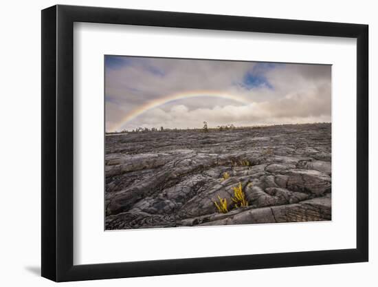 Rainbow over Old Lava Field, Hawaii Volcanoes NP, Hawaii, USA-Jaynes Gallery-Framed Photographic Print