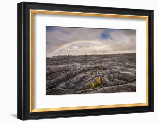 Rainbow over Old Lava Field, Hawaii Volcanoes NP, Hawaii, USA-Jaynes Gallery-Framed Photographic Print