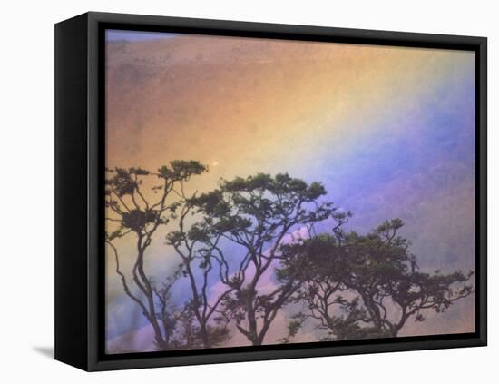 Rainbow over Rural Valley, Guacimal, Costa Rica-Michele Westmorland-Framed Premier Image Canvas