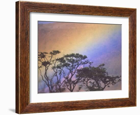 Rainbow over Rural Valley, Guacimal, Costa Rica-Michele Westmorland-Framed Photographic Print